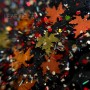 Гель для дизайна Crooz Leaf Gel №01